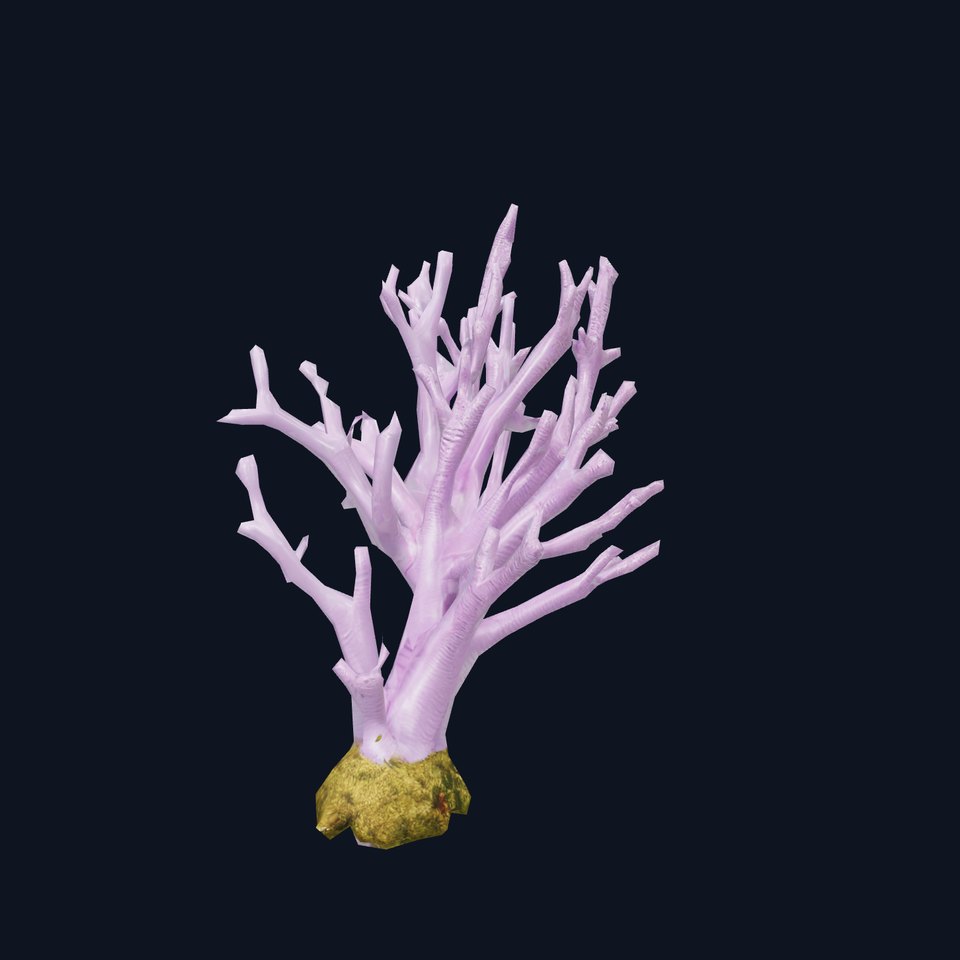 Vibrant Purple Coral model pack